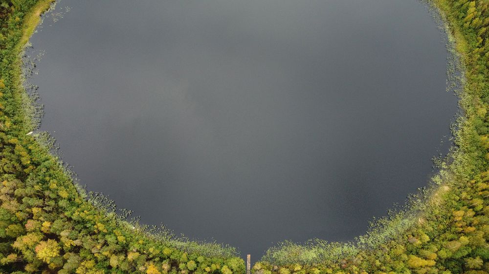 Photograph by Михаил Рассказ