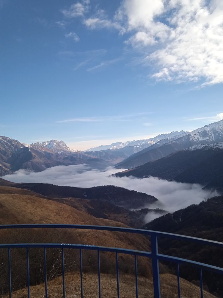 Photo #8516014