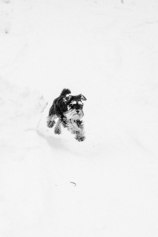 Photograph by Olivka Ulyanova