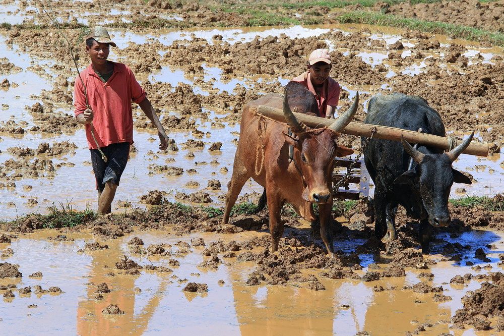 Фотография автора Евгений Печенин