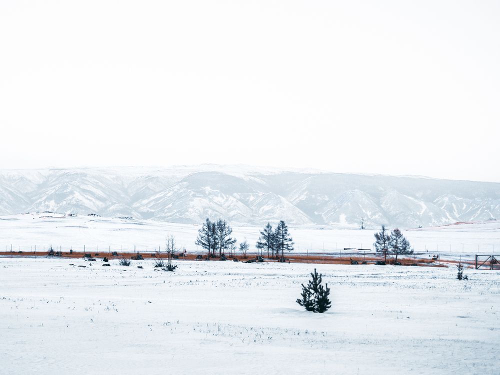 Photograph by Никита Веретко