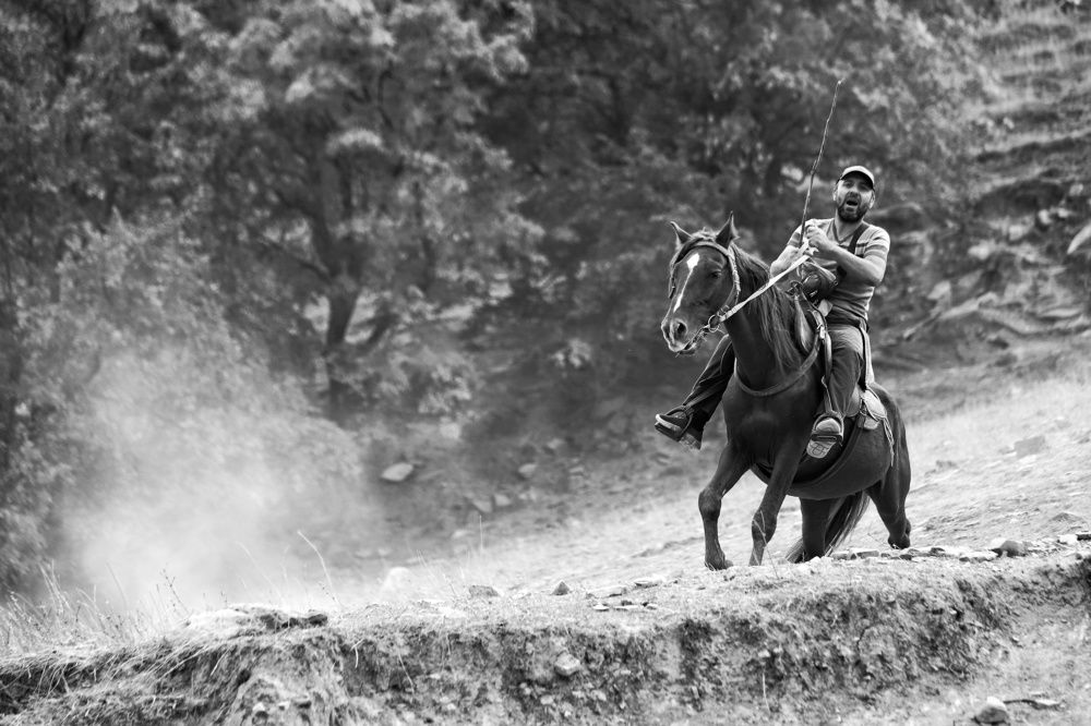 Фотография автора Елена Кириллова