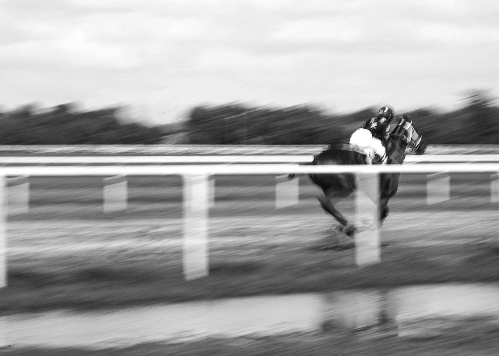 Photograph by Екатерина Сахно