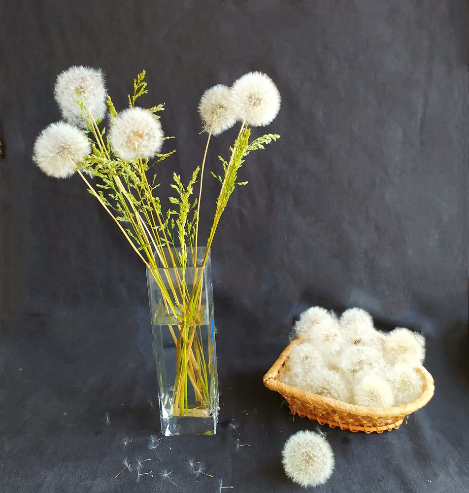 Photograph by Светлана Семенова