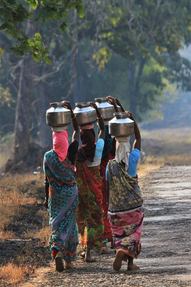 Photograph by Nirmalya Chakraborty