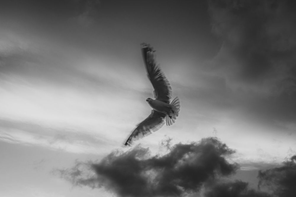 Фотография автора Андрей Жуков