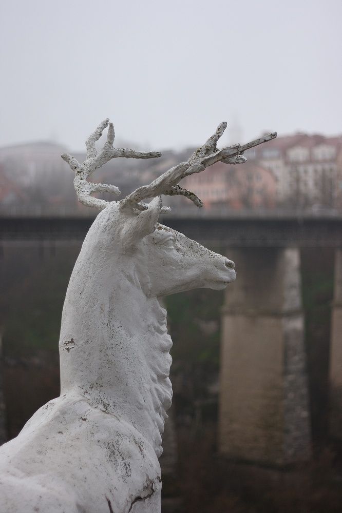 Photograph by Анастасия Братчун