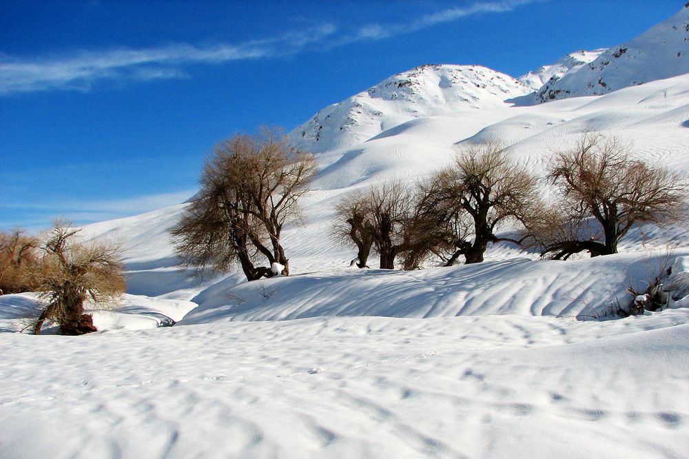 Photograph by mehdi karimi souderjani