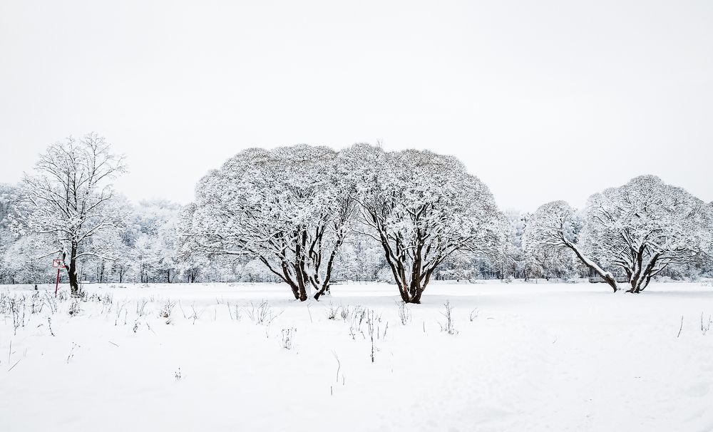 Покровское-стрешнево