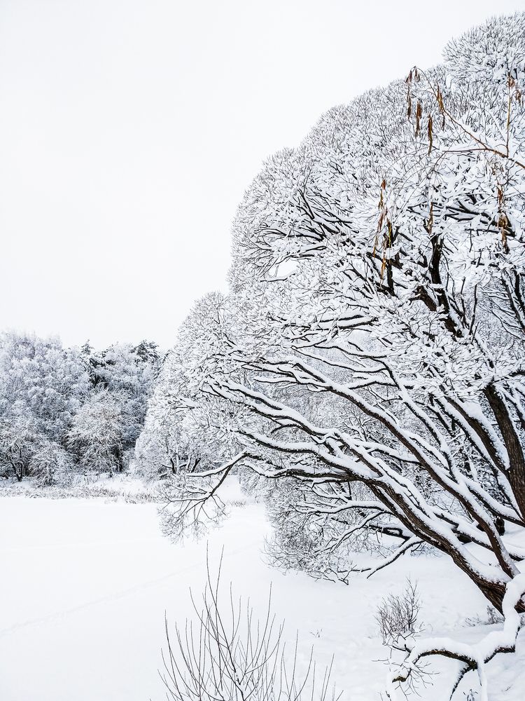 Фотография автора Андрей Жуков