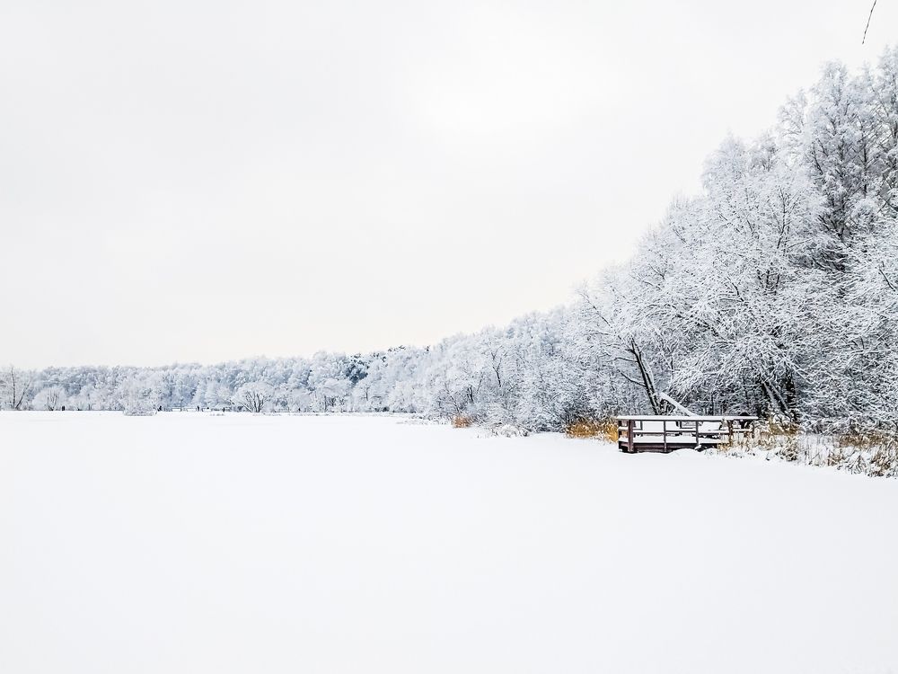 Фотография автора Андрей Жуков