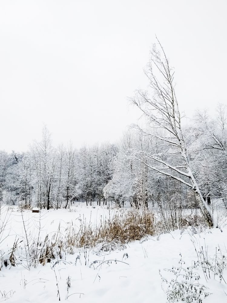 Фотография автора Андрей Жуков