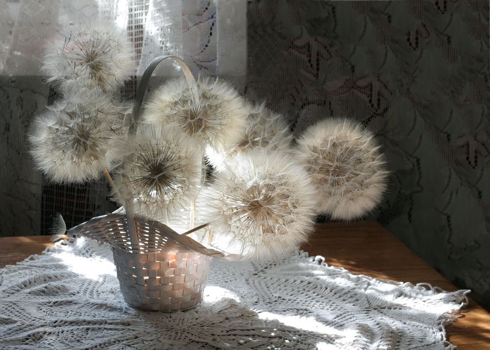 Photograph by Ольга Заболотская