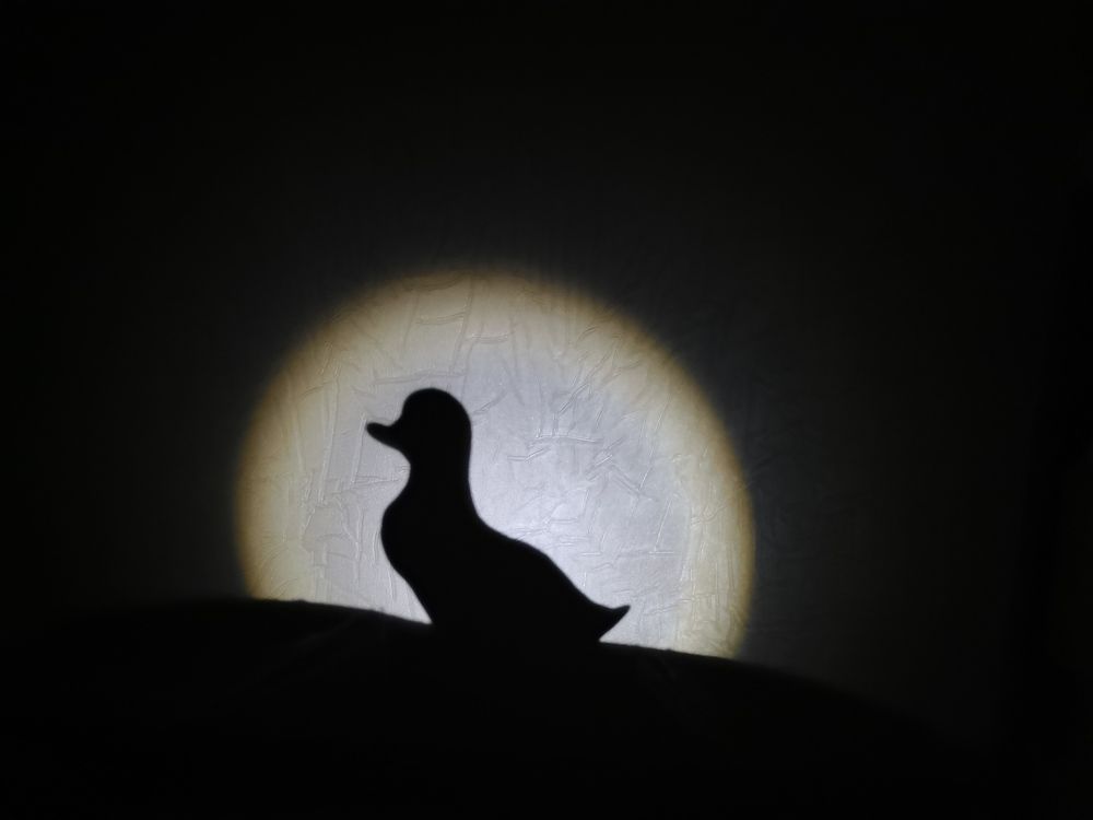 Photograph by Ольга Гирусова