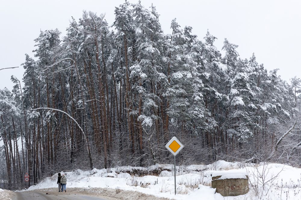 Photograph by Ольга Гирусова