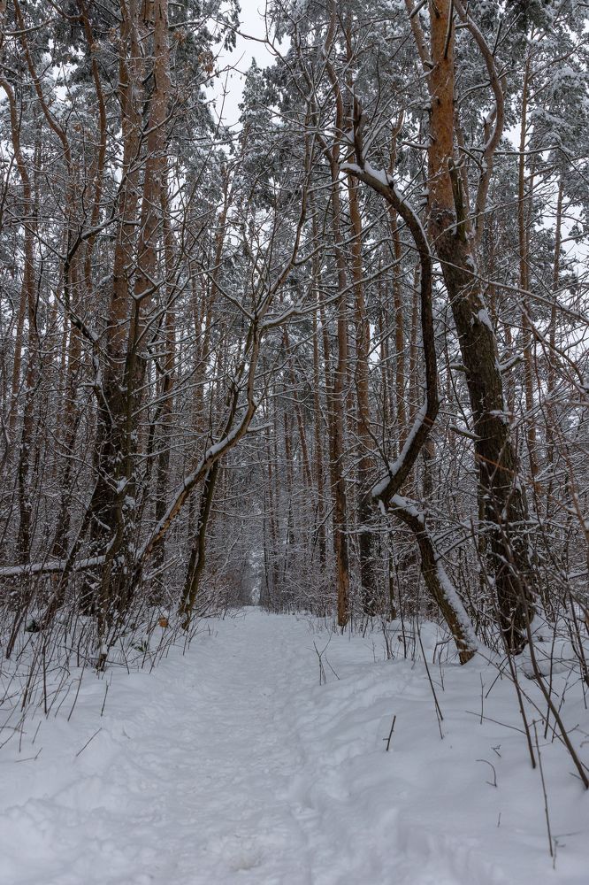 Photograph by Ольга Гирусова