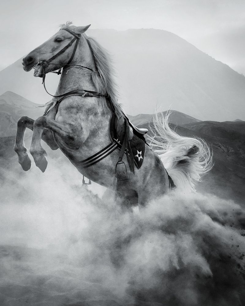 Photograph by Henri Fitriadi