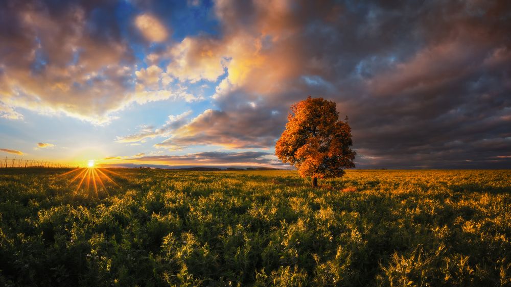 Photograph by Tom Kráčmar