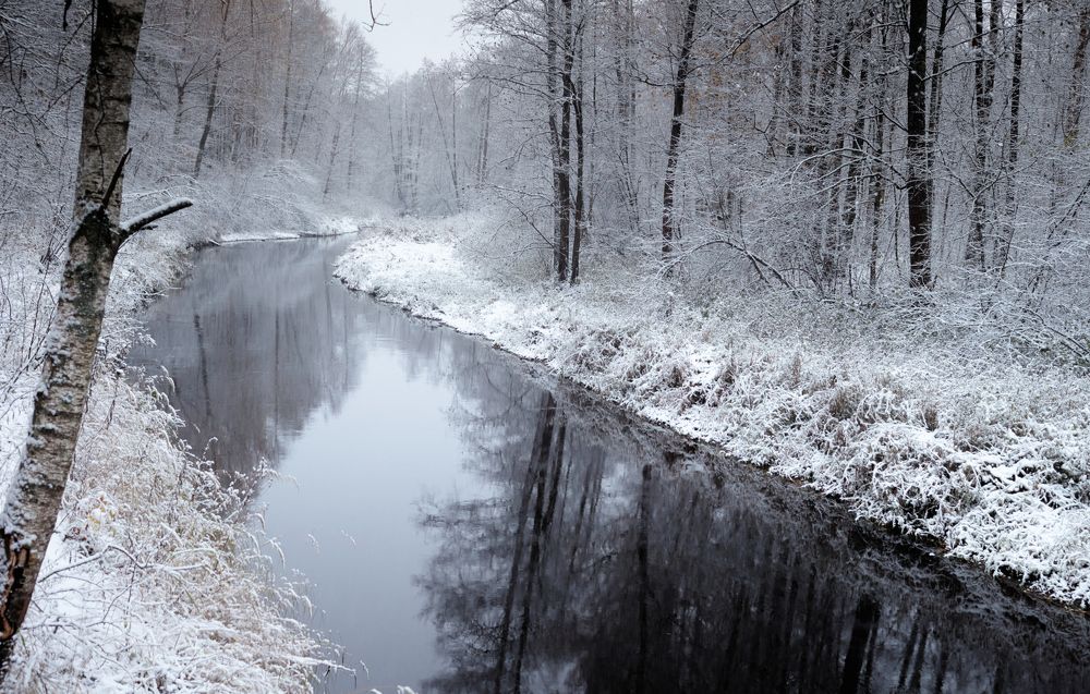 Photograph by Глеб Заходякин