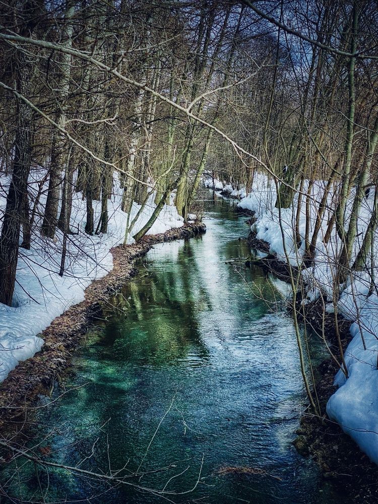 Photograph by Evgenia Privalova