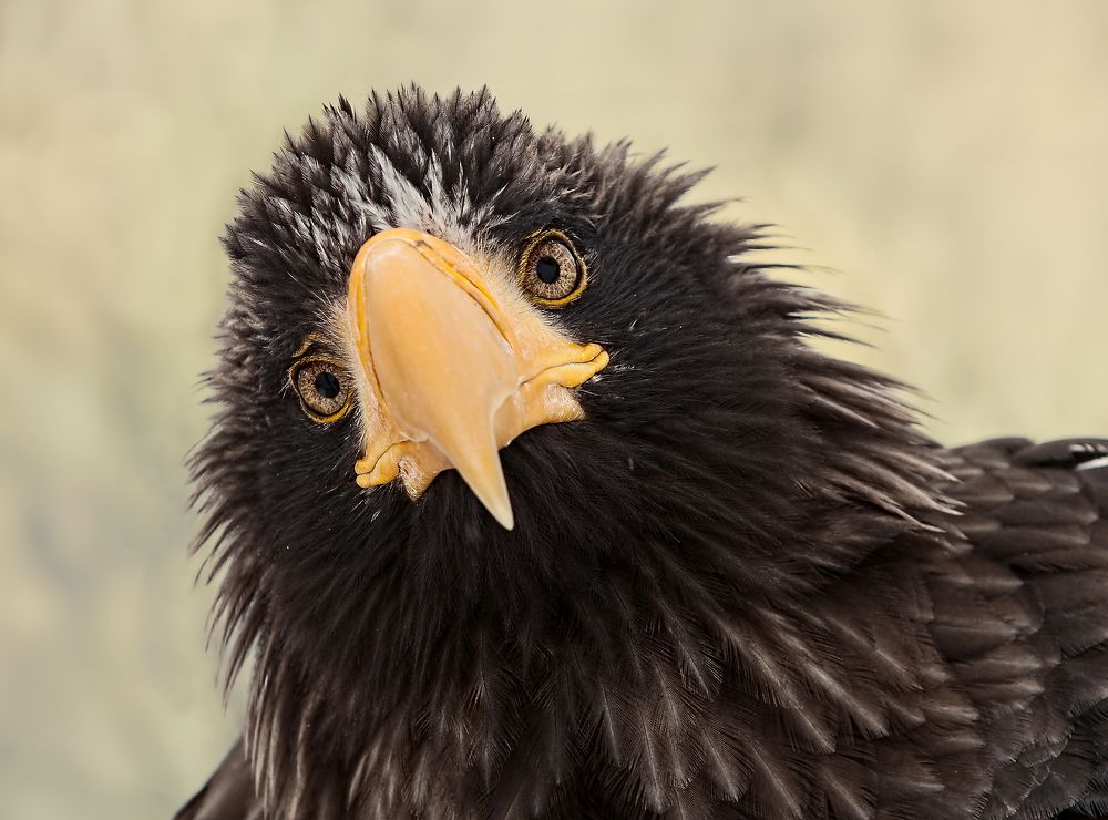 Photograph by Олег Тыркин