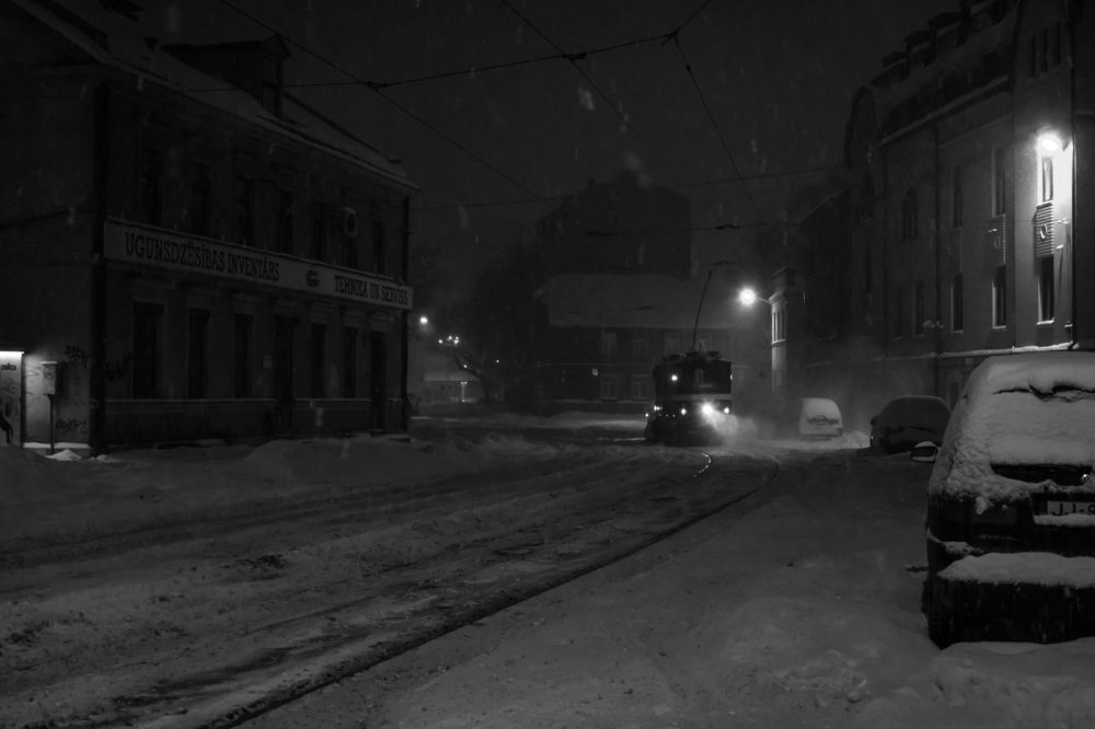 Photograph by Janetta Sereda