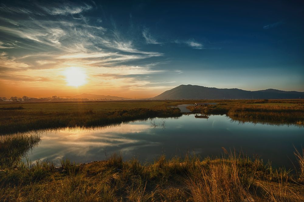 Photograph by Niranjan Baishya