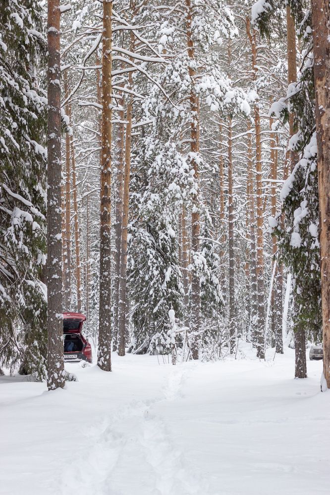 Photograph by Вячеслав