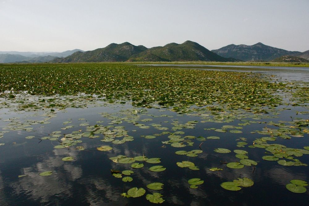Photograph by Элина Ларченкова