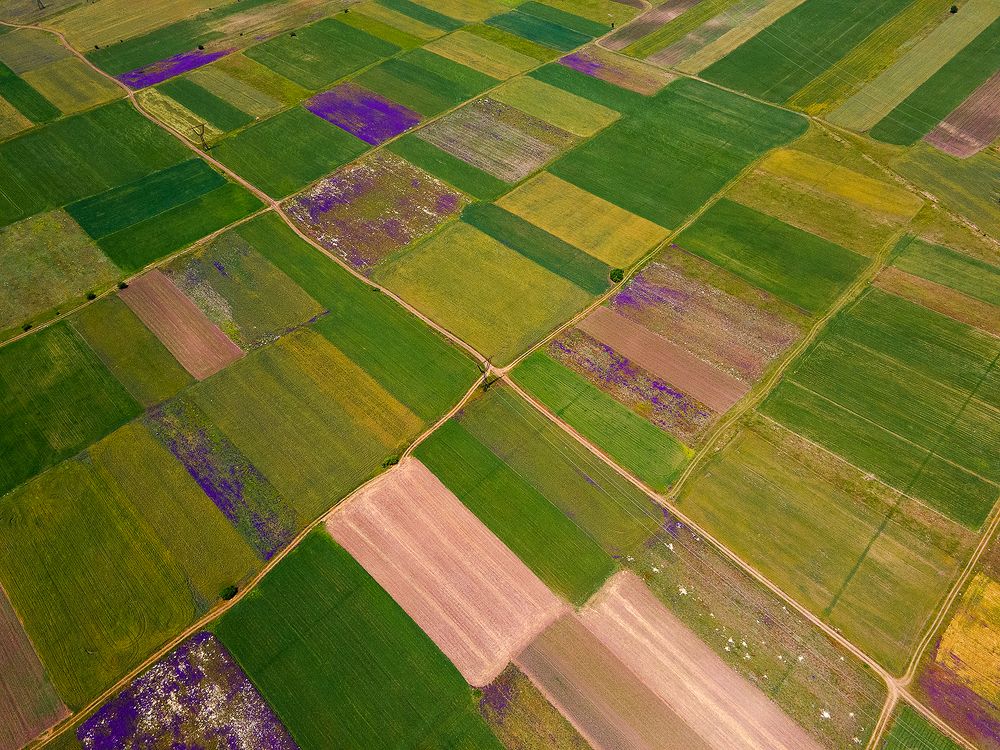 Photograph by PAPKIAURI TORNIKE