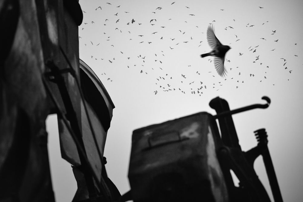 Photograph by Lorga Nuno