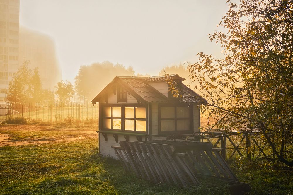 Моя страна чудес
