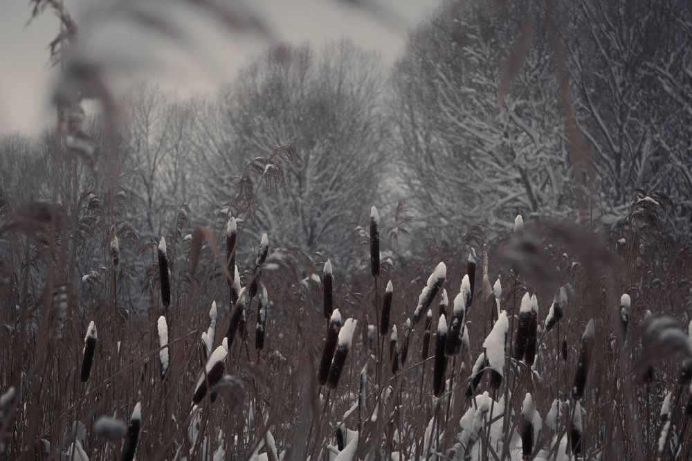 Photograph by Александр Ходакин