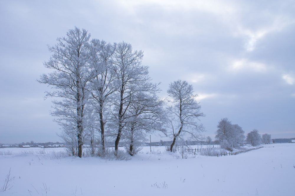 Тихий зимний день