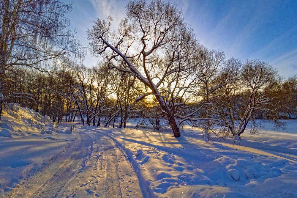 Photograph by Дмитрий Потапов