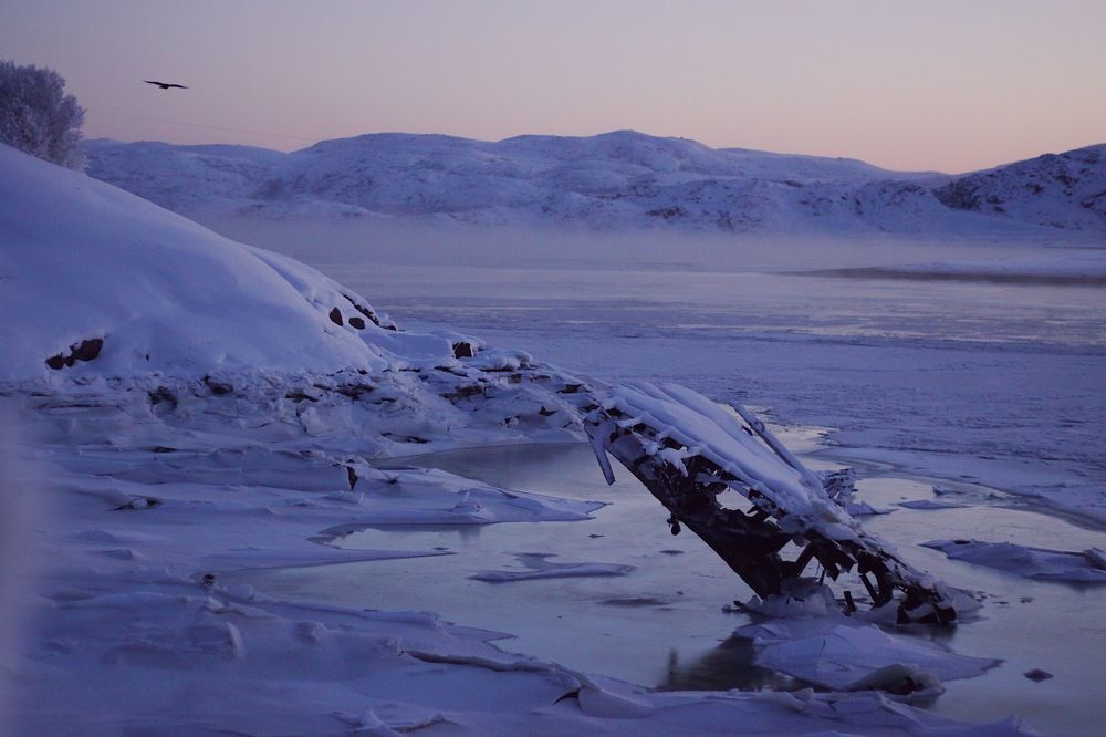 Photo #8516785