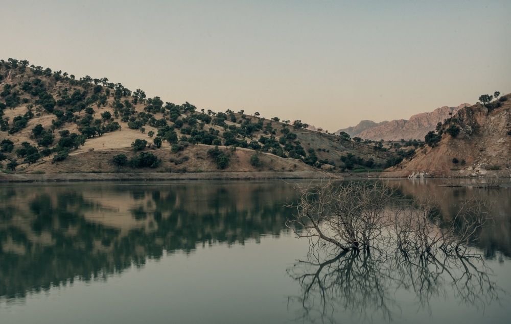 Photograph by Shakar fazel