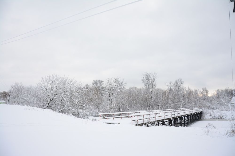 Photograph by Ольга Истомина