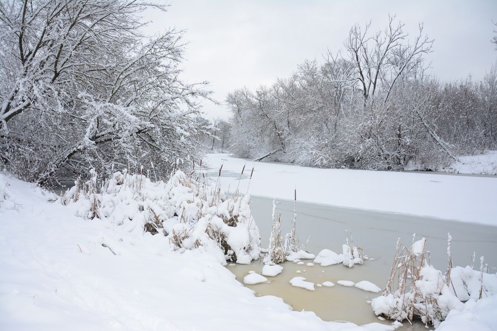 Photograph by Ольга Истомина