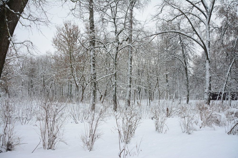 Photograph by Ольга Истомина