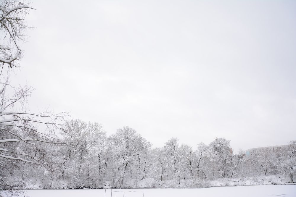 Photograph by Ольга Истомина