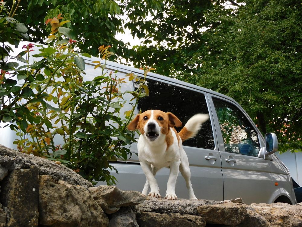 Photograph by Алмерия Монева