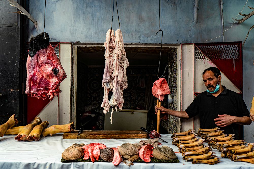 Photograph by Andrea Antonelli