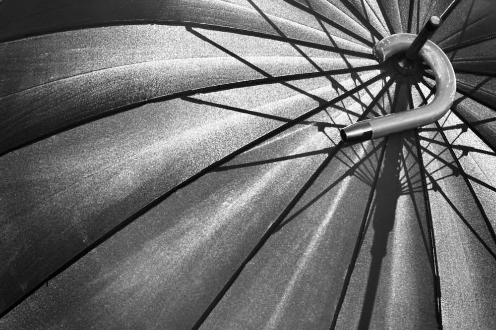 Photograph by Renault Sébastien