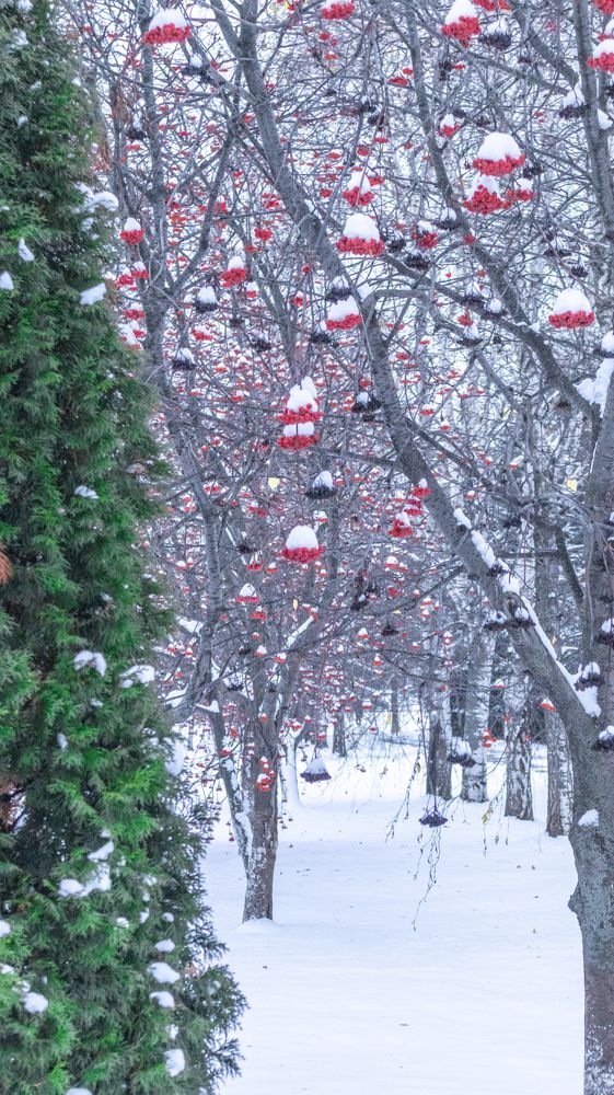 Photograph by Evgeniy Kuz’min