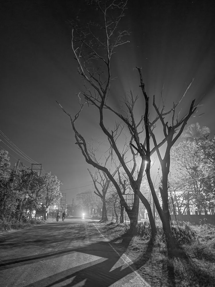 Photograph by Ritaban Mukherjee