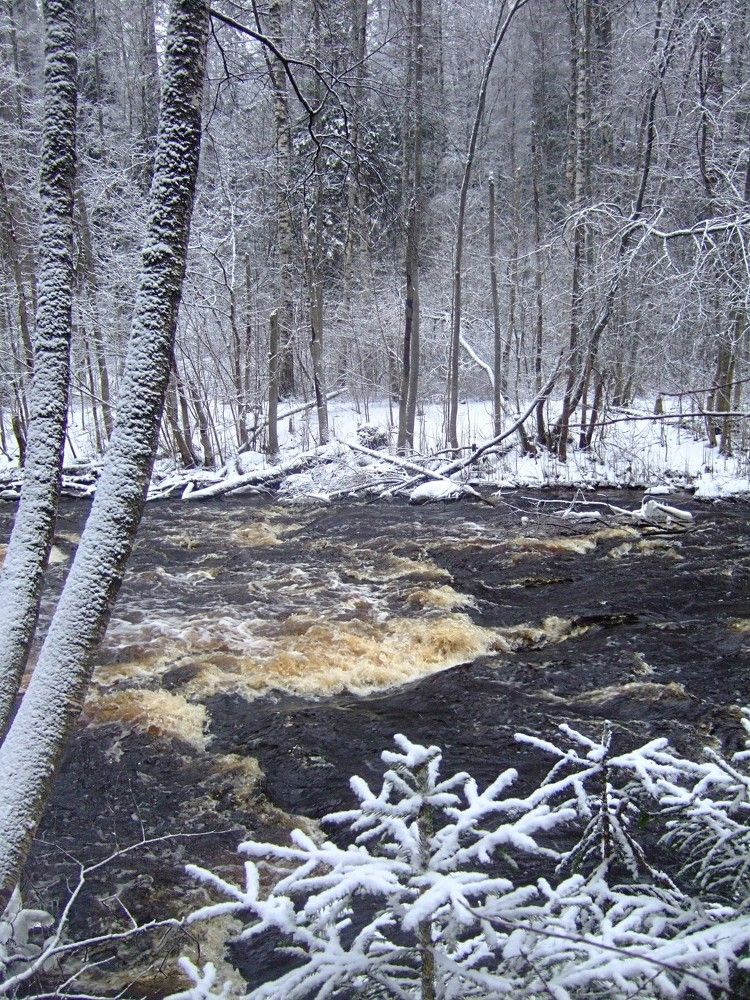 Photograph by Ольга Белик