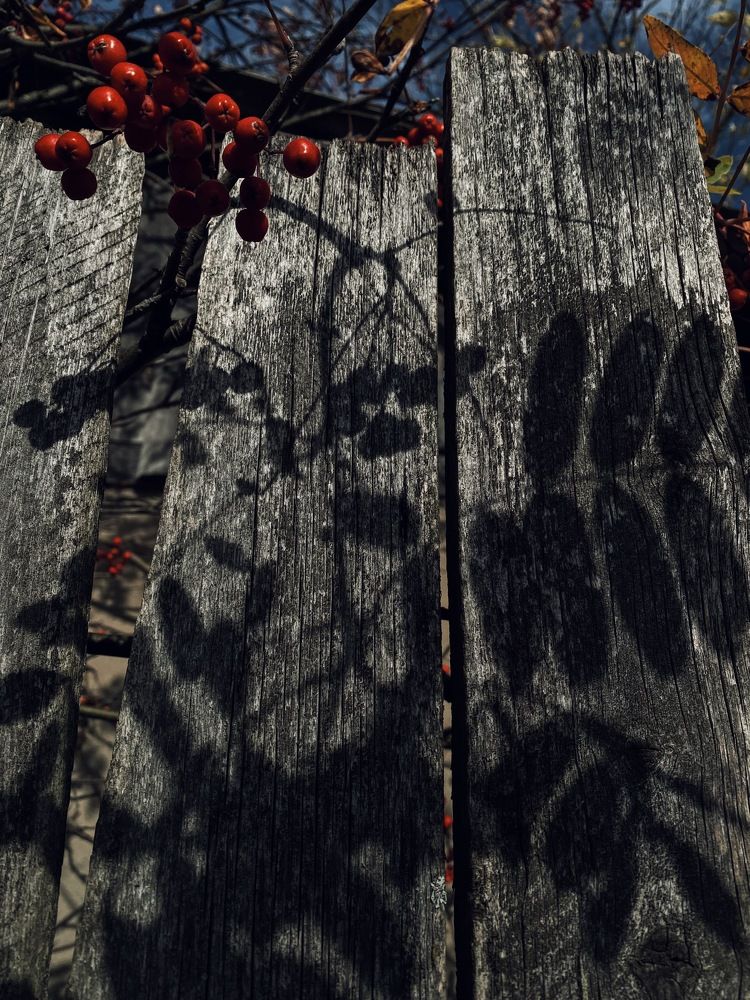 Photograph by Ирина Дубовцова