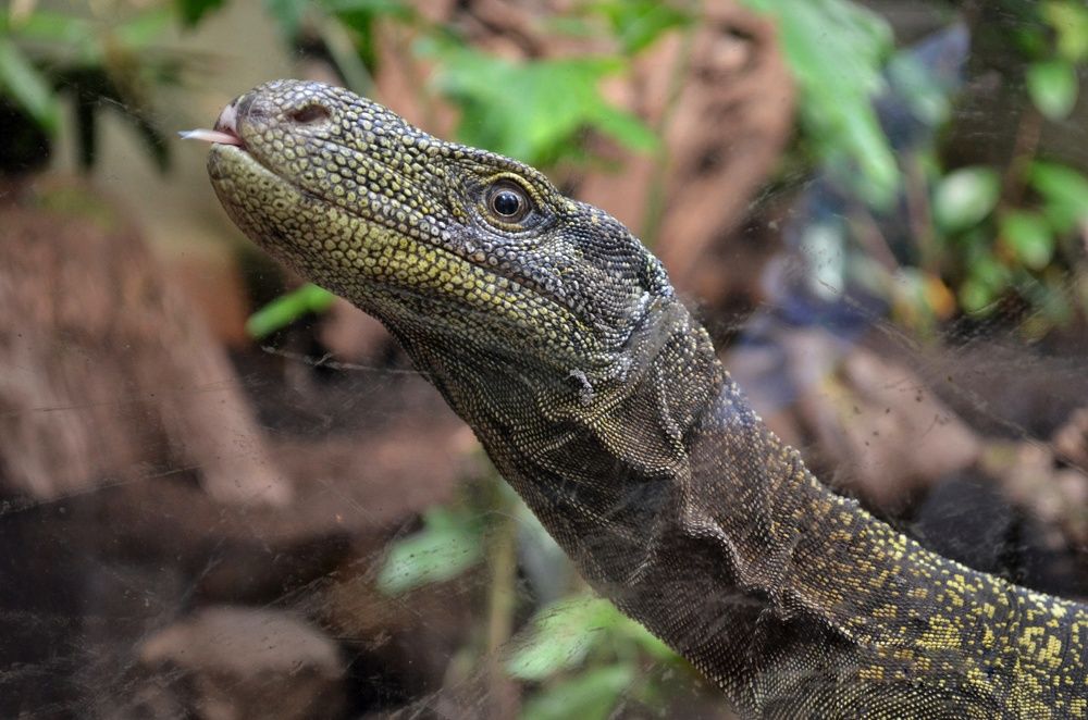 Photograph by Максим Солдатенко