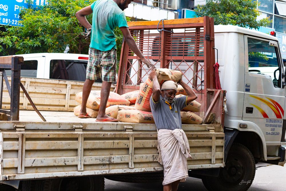 Photograph by Sumith Wickramasinghe